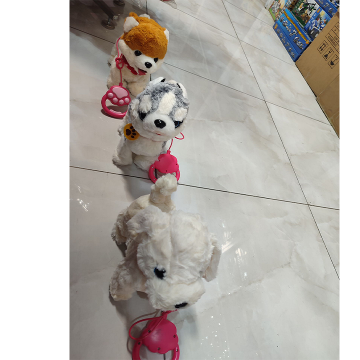 سگ هوشمند کنترلی