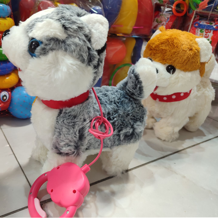 سگ هوشمند کنترلی