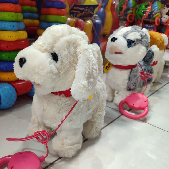 سگ هوشمند کنترلی