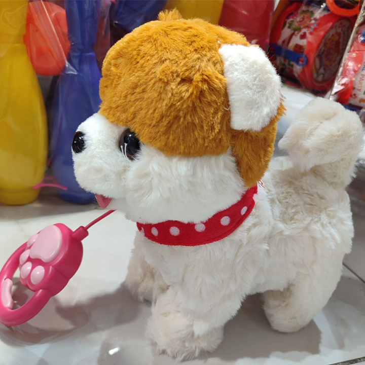سگ هوشمند کنترلی